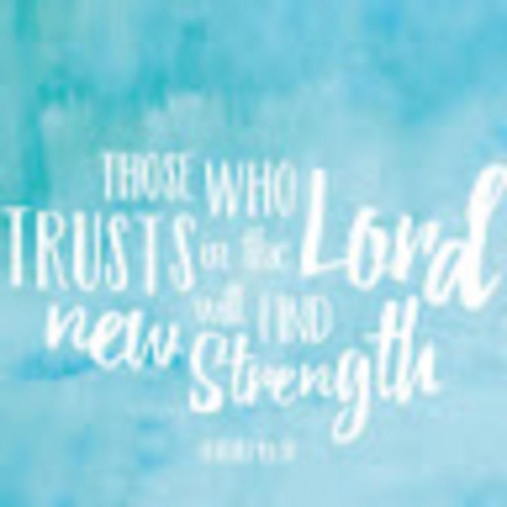 Meet your Posher, Maddie